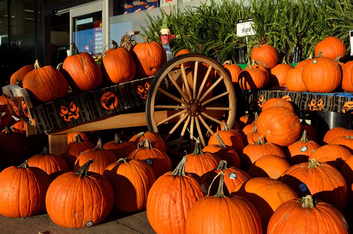 13 Last-Minute, School-Approved Halloween Costume Ideas
