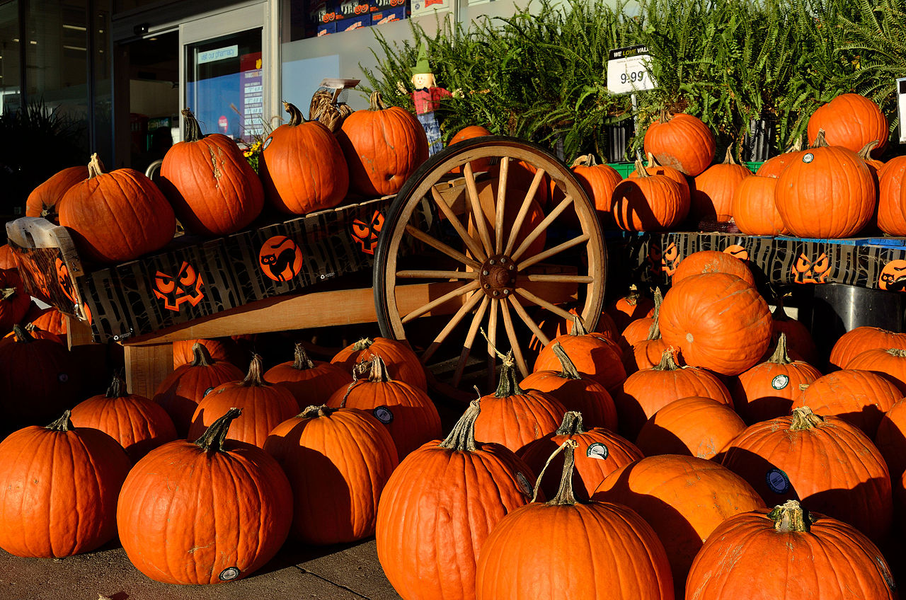 13 Last-Minute, School-Approved Halloween Costume Ideas