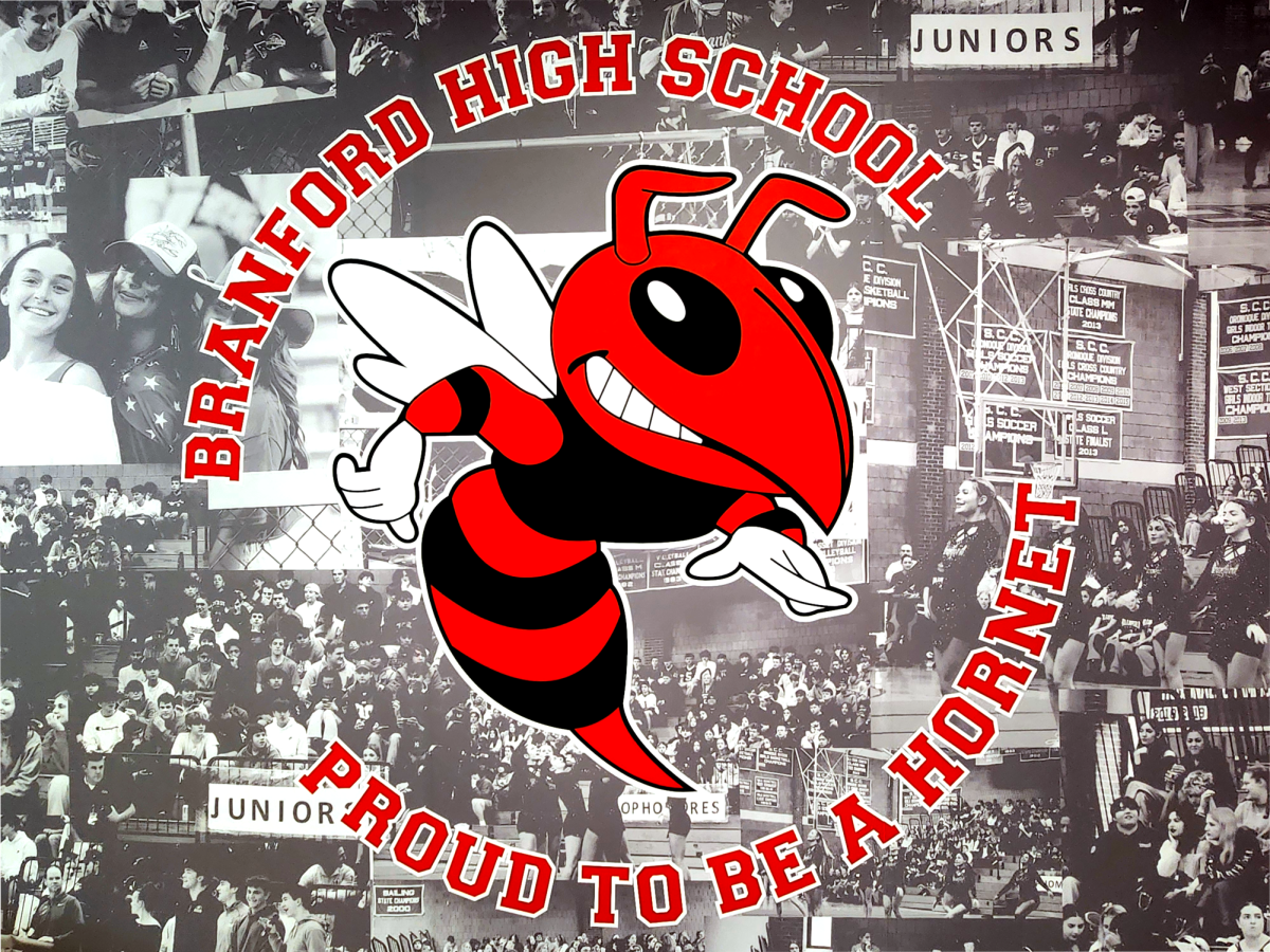 The Hornet mural outside alumni gymnasium at Branford High School, home of the Hornets.