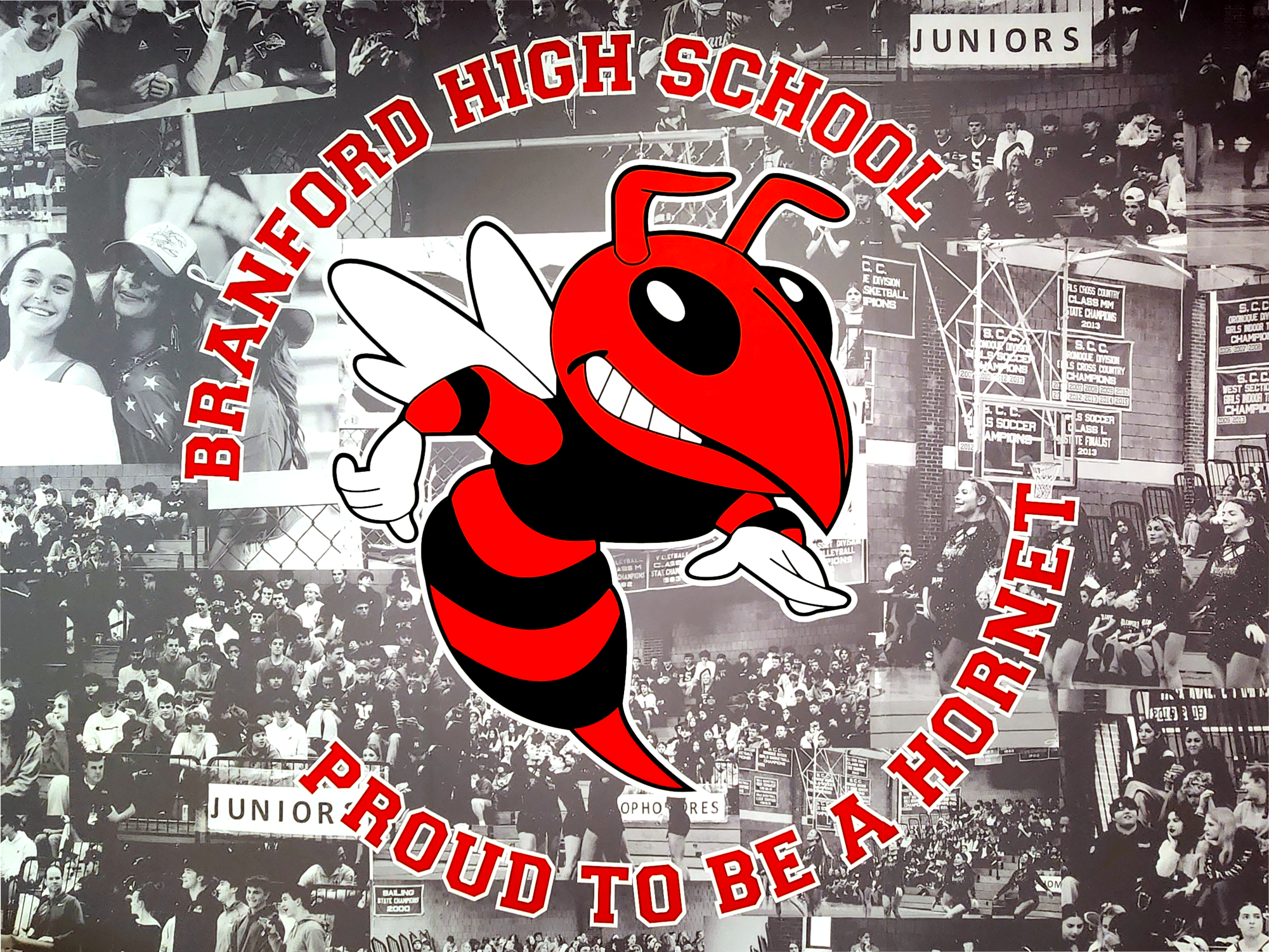 The Hornet mural outside alumni gymnasium at Branford High School, home of the Hornets.