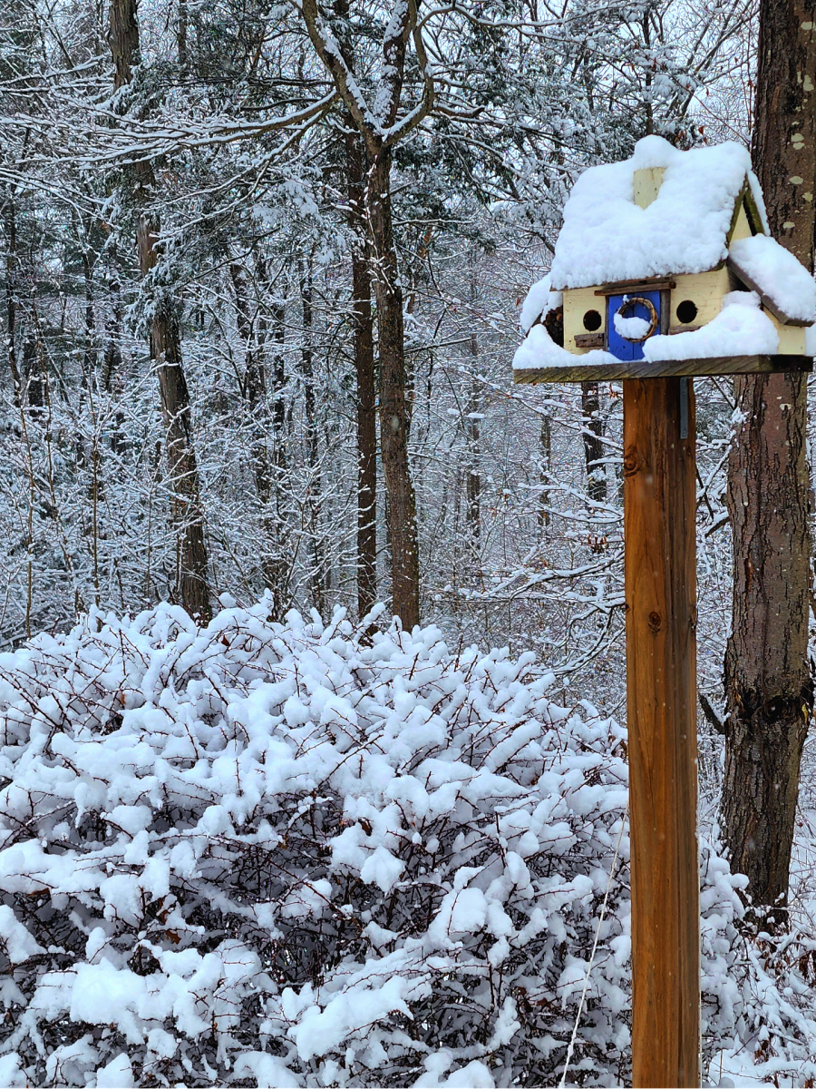 Despite the season's bitter temperatures and frigid landscapes, winter has something to teach all of us about taking the time to notice what matters.