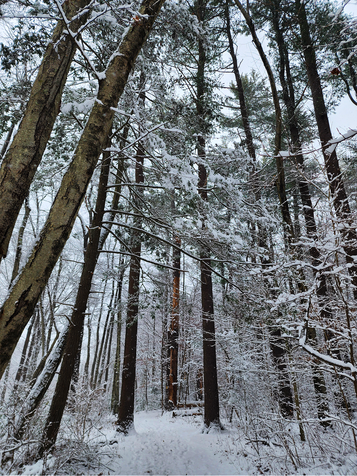 Student Voices: "What Winter Doesn’t Rush"