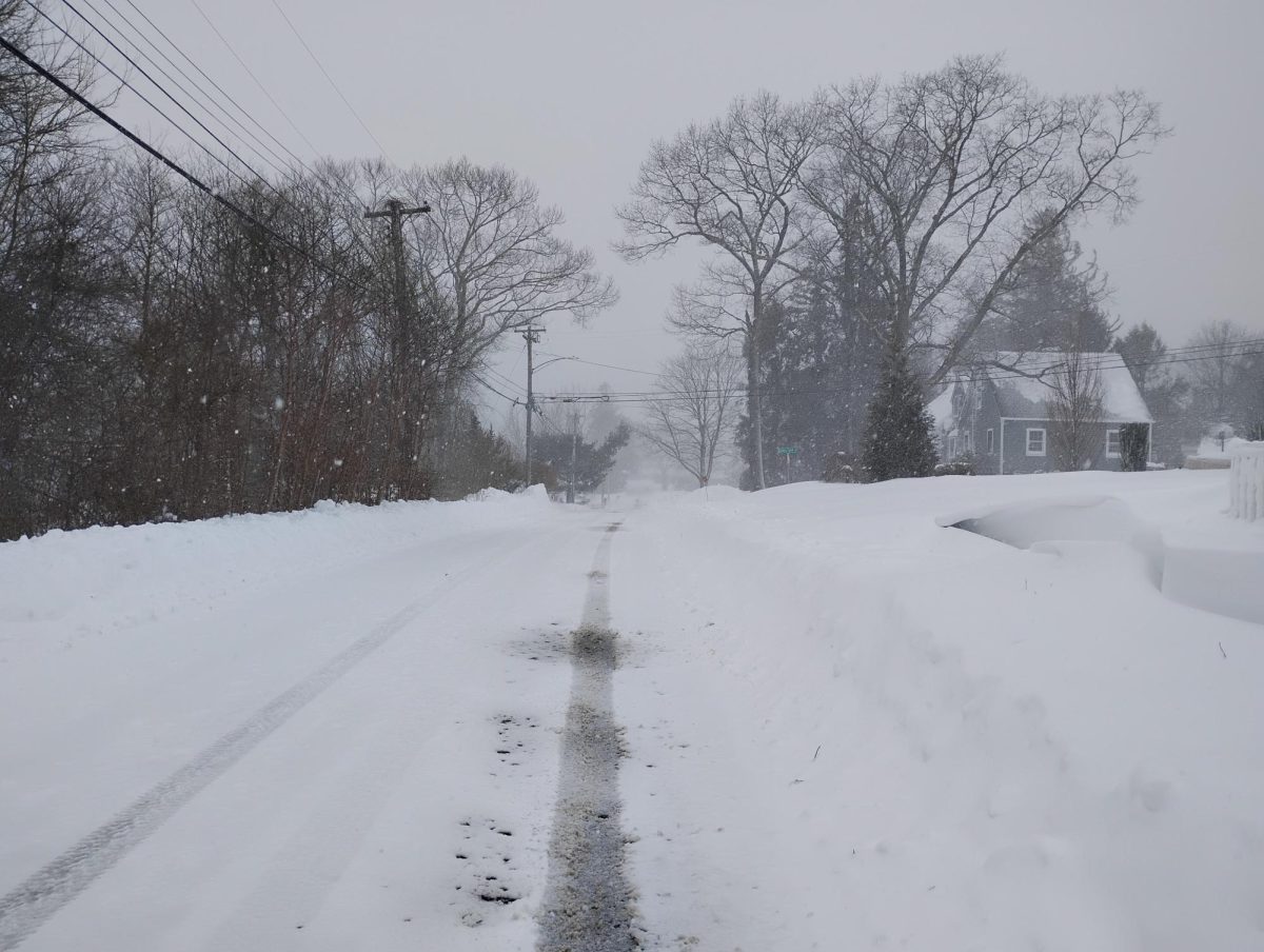 A massive winter storm that blanketed the area with almost two feet of snow prompted several snow days so crews could clear the roads.