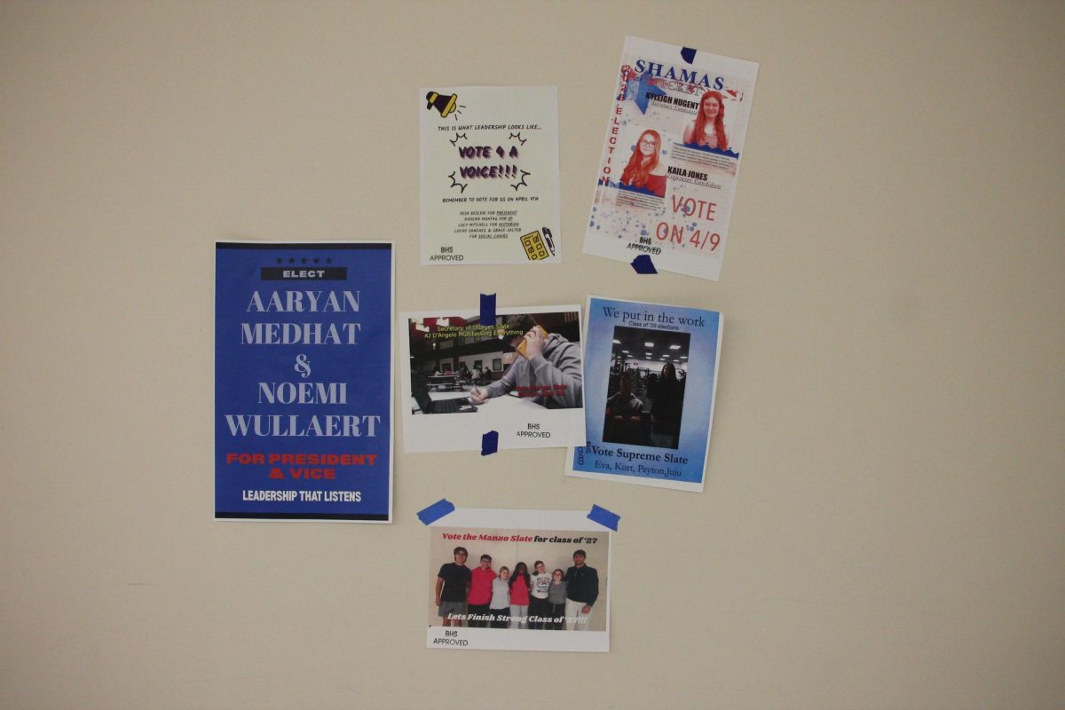 Class campaign posters fill the schools - one from all six appear here.